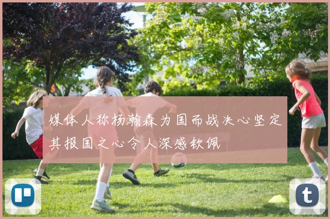 媒体人称杨瀚森为国而战决心坚定其报国之心令人深感钦佩